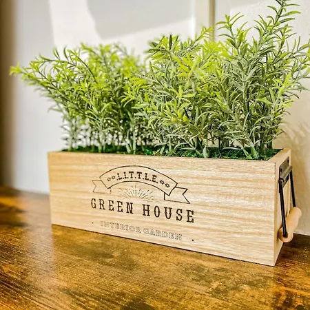 Sunny Penthouse In Gzira